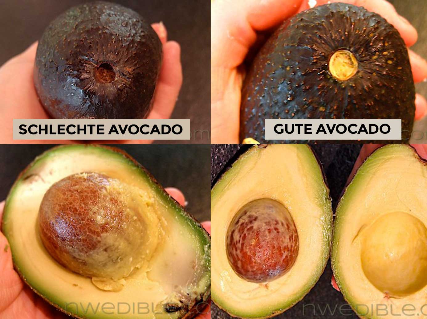 anders dynamisch Tötet avocado reife am stiel erkennen Verringern ...